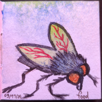 a small square watercolour painting of a fly with bright orange eyes and red veins on it's wings. it is named 'foood' and dated 09/11/24.